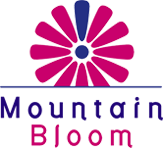 Mountain Bloom